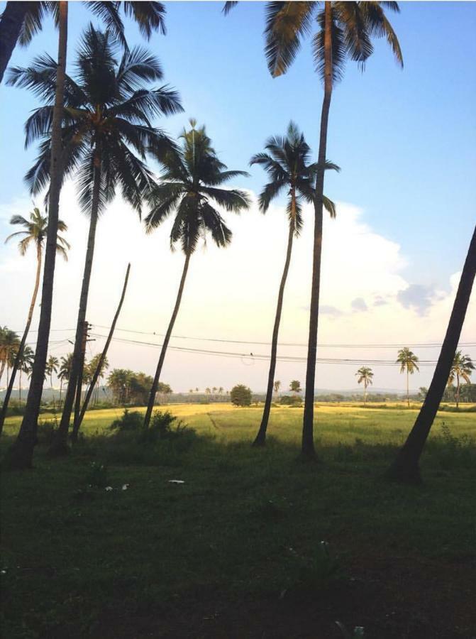 فندق The Postcard Cuelim, Goa كِنسولِم المظهر الخارجي الصورة