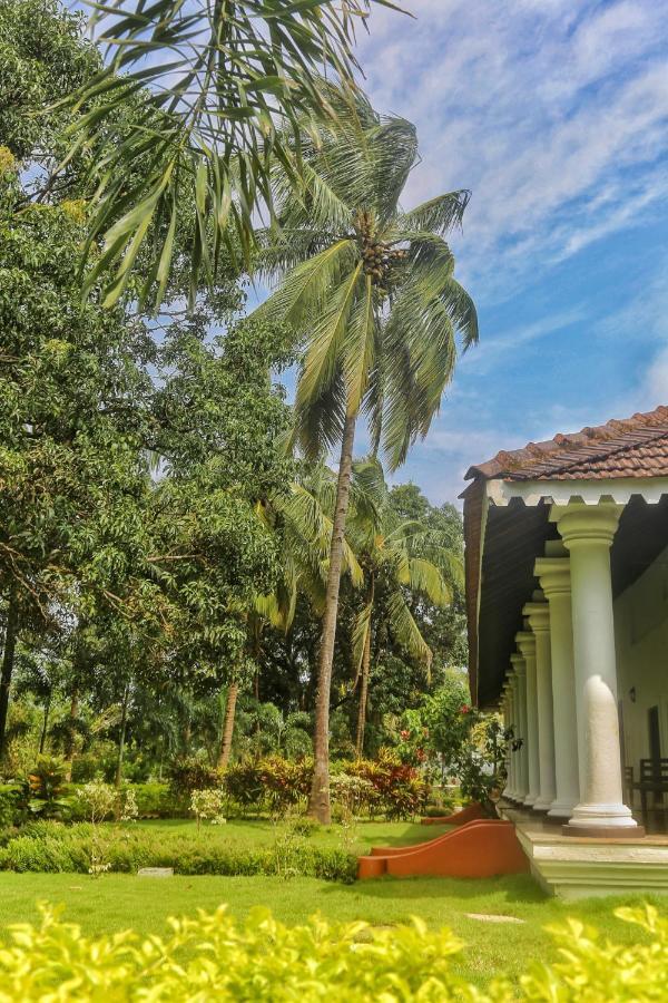 فندق The Postcard Cuelim, Goa كِنسولِم المظهر الخارجي الصورة
